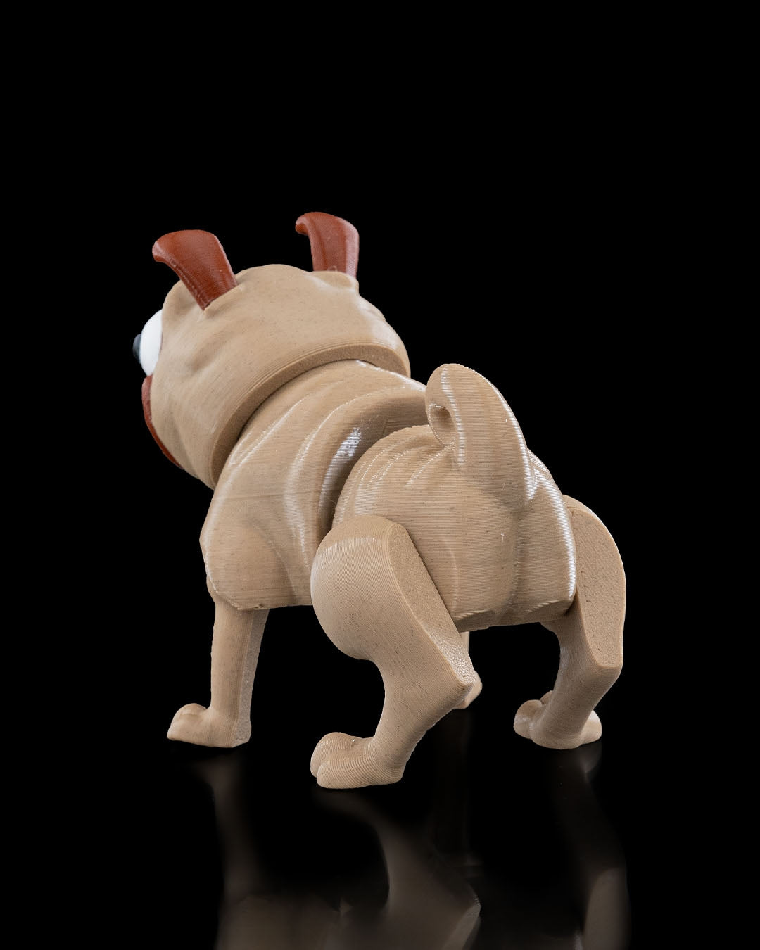 Pug