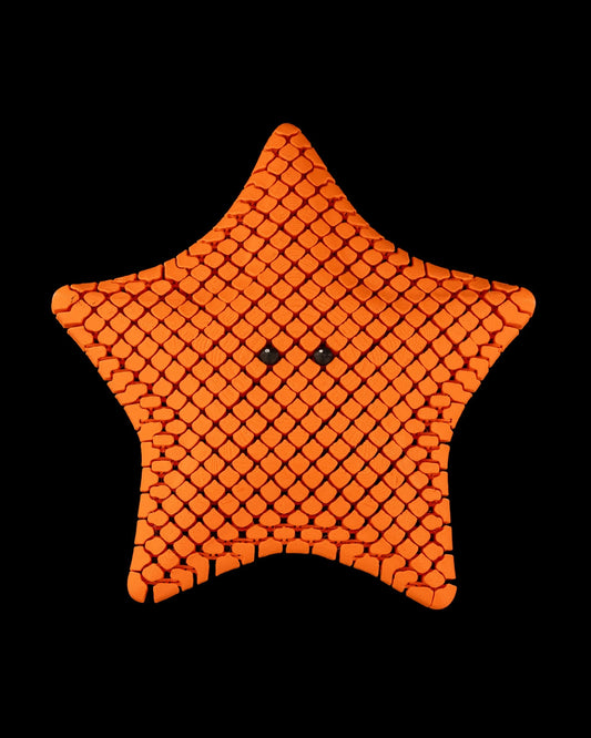 Betsie, The Bat Sea Star