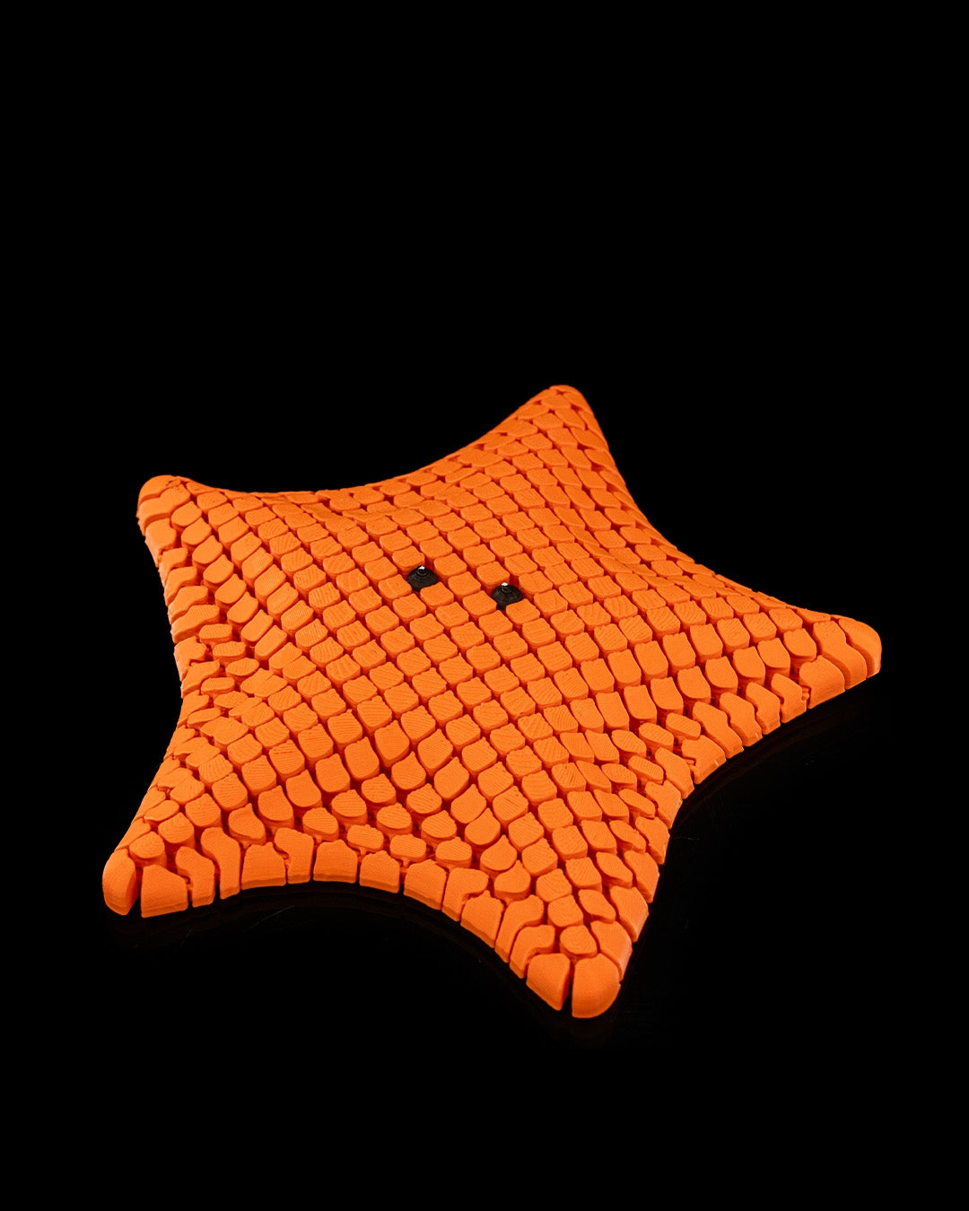 Betsie, The Bat Sea Star