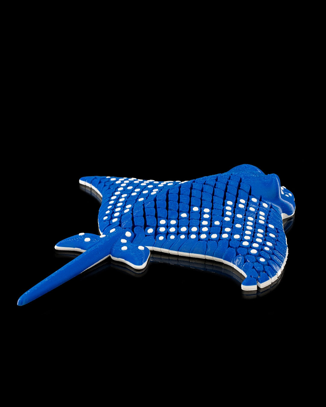 Igor, The Spotted Eagle Ray
