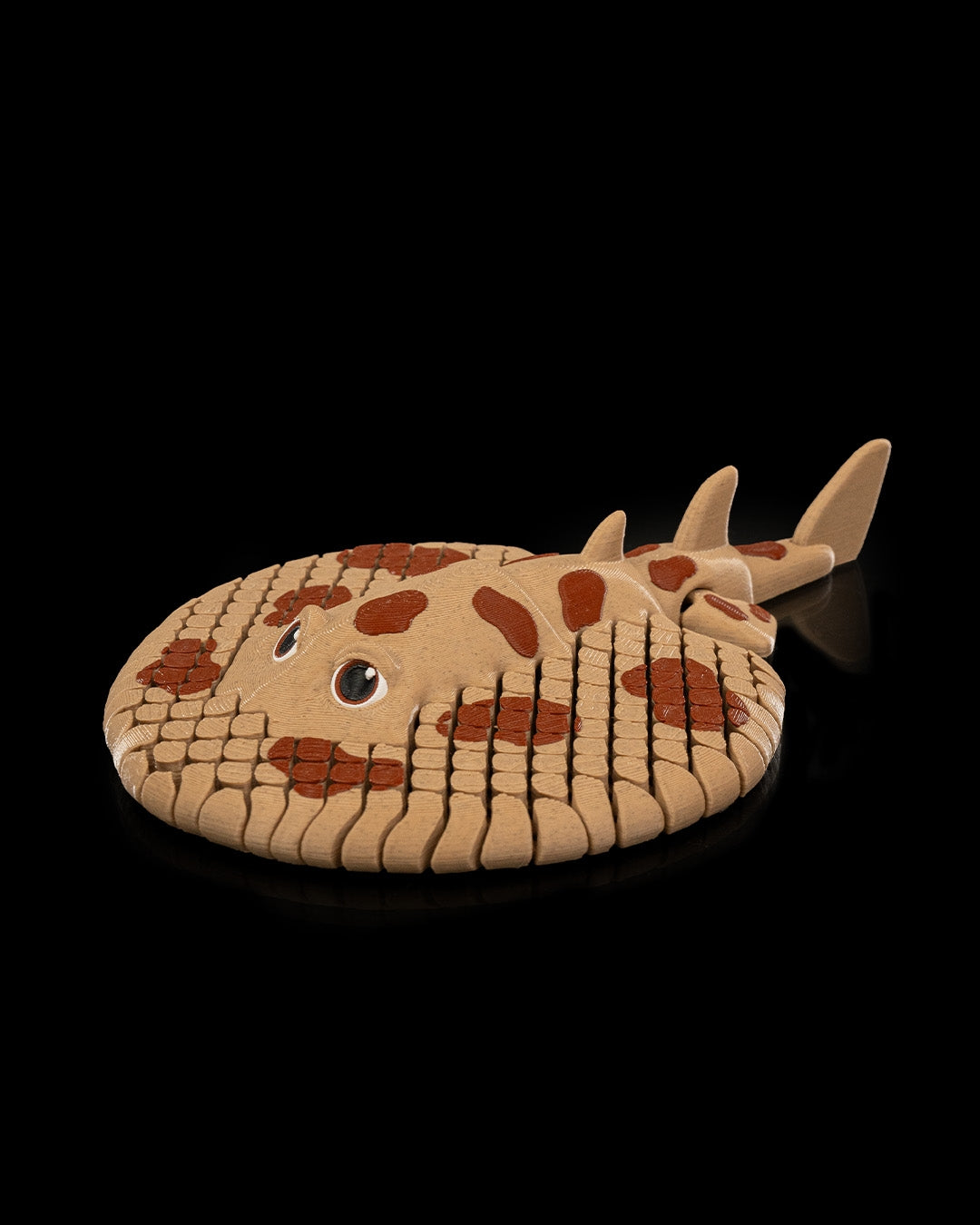 Lexi, The Electric Ray