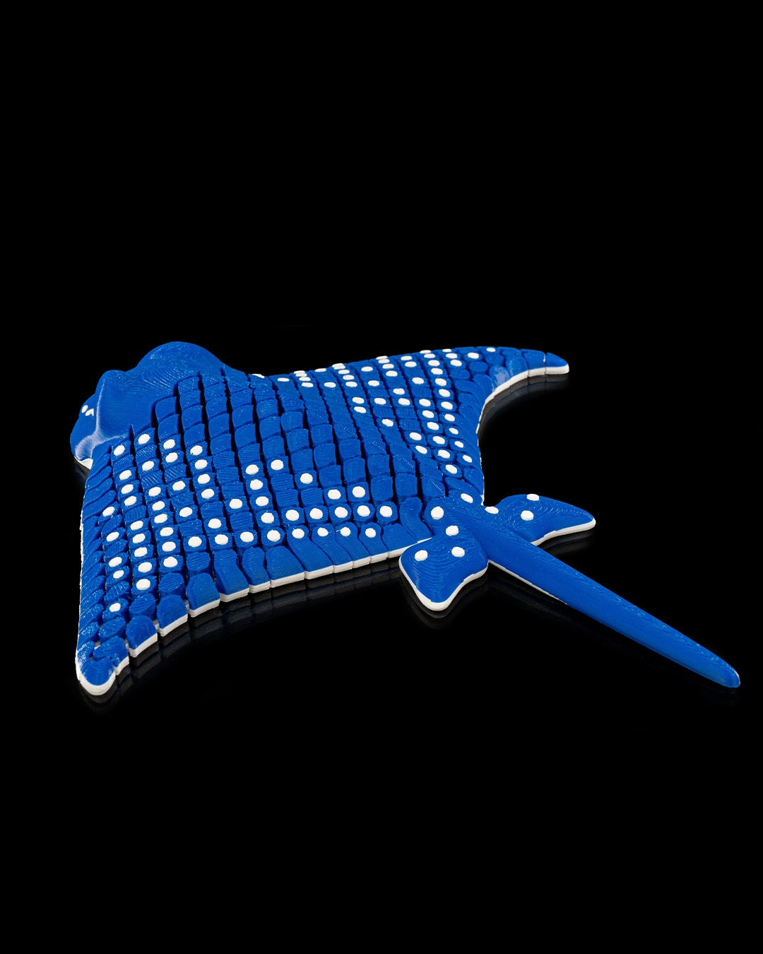 Igor, The Spotted Eagle Ray