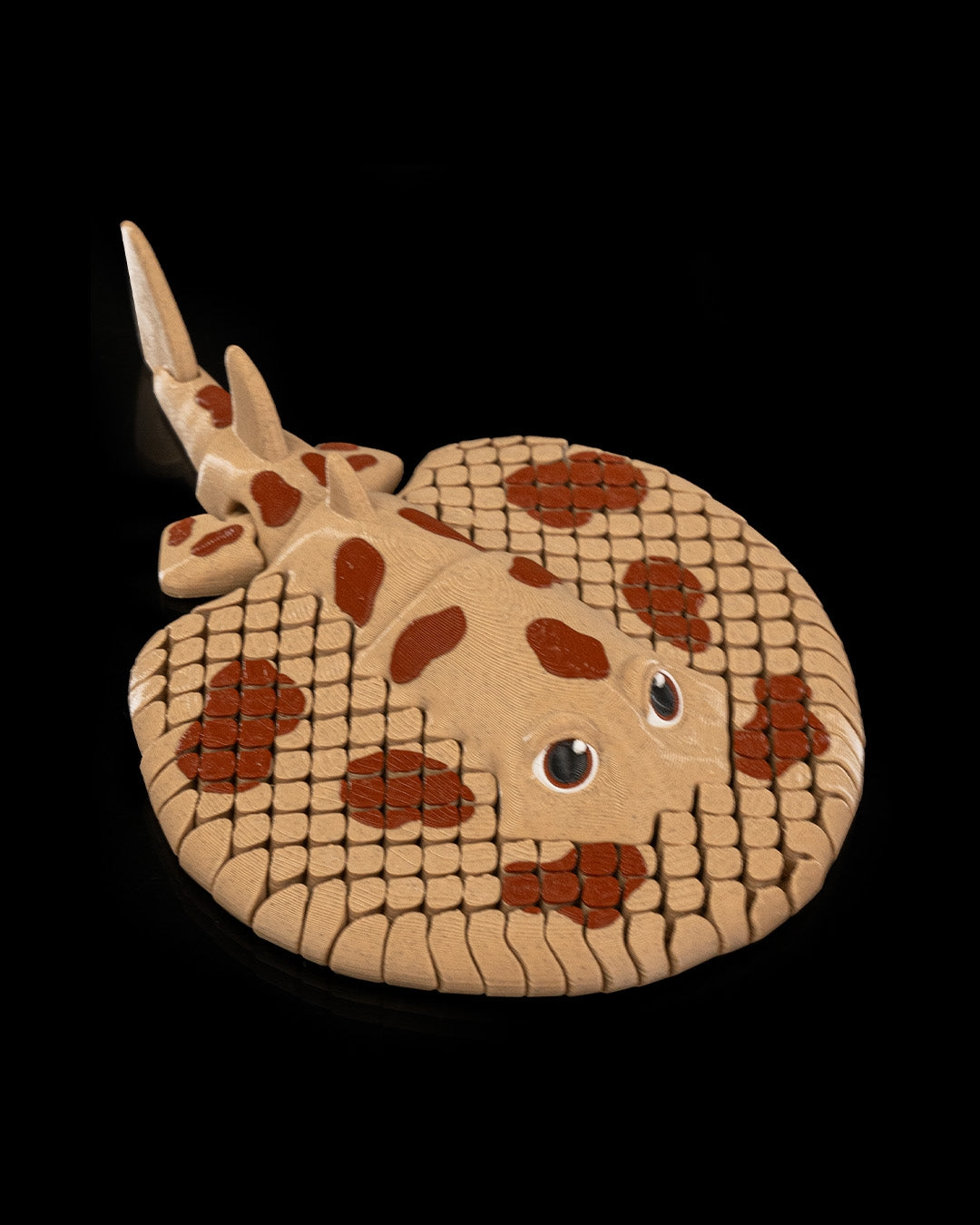 Lexi, The Electric Ray