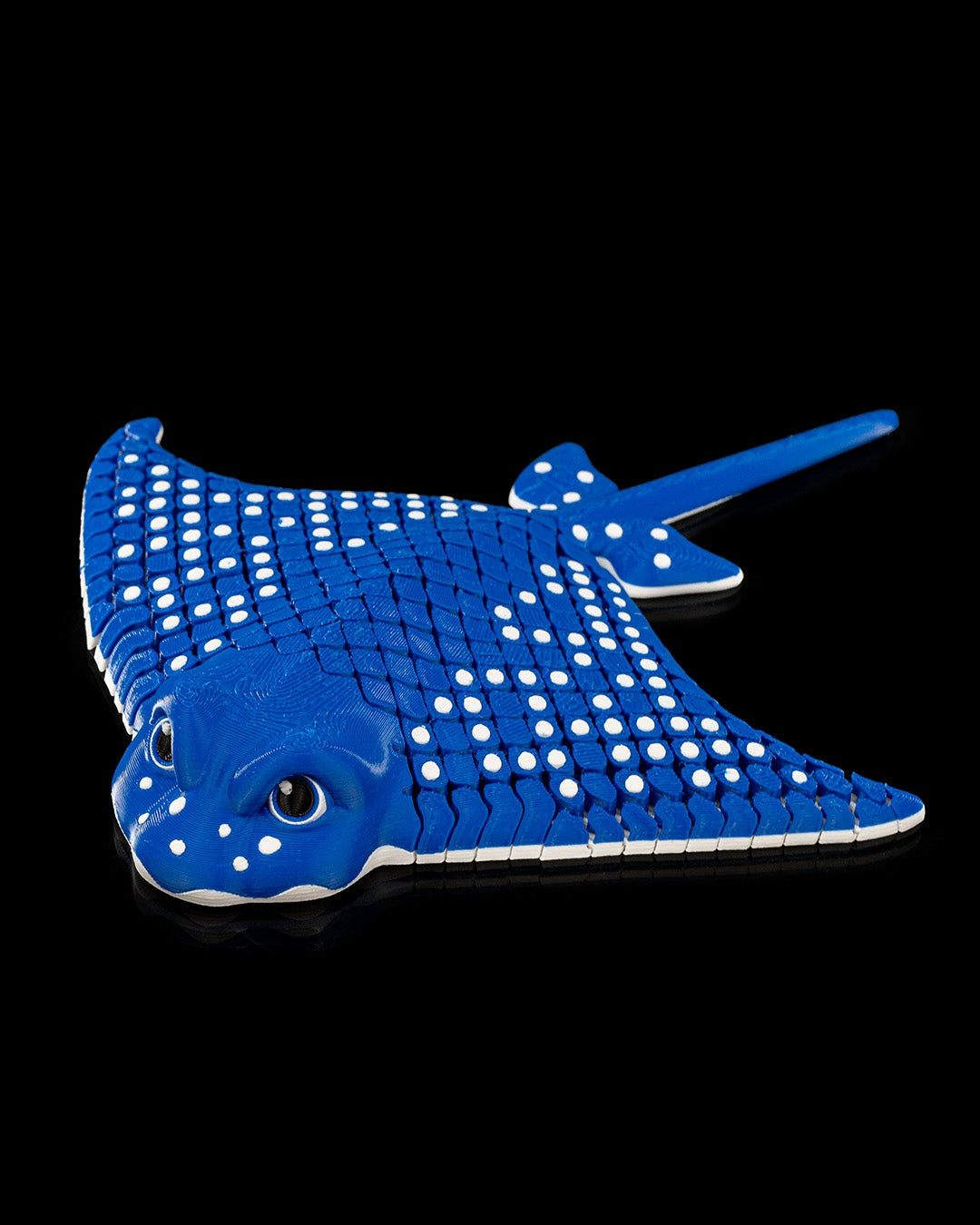 Igor, The Spotted Eagle Ray