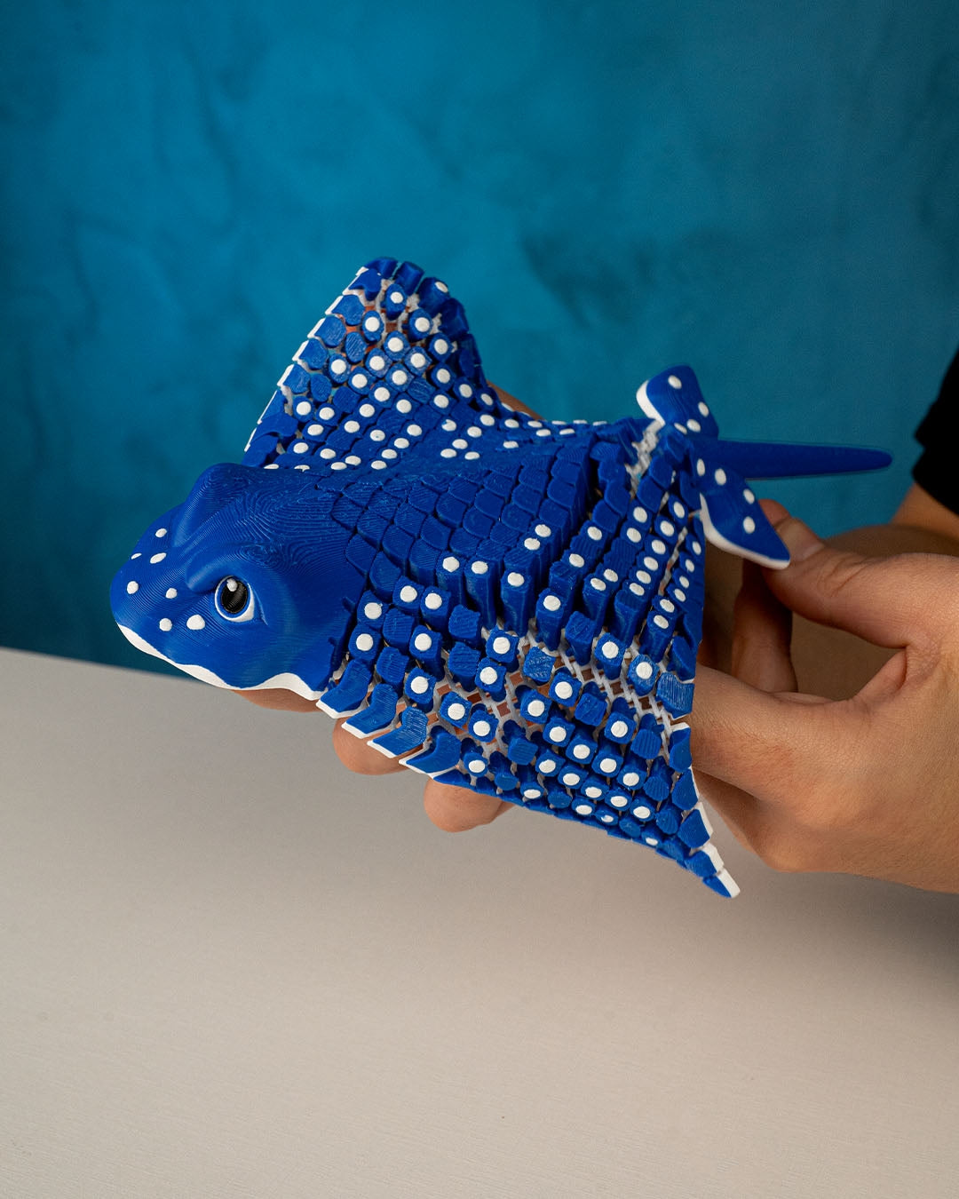 Igor, The Spotted Eagle Ray
