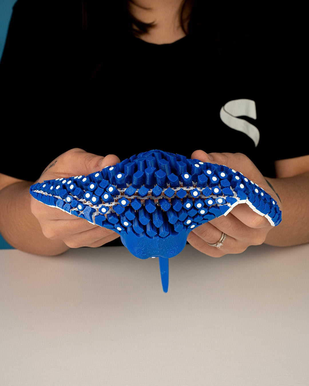Igor, The Spotted Eagle Ray