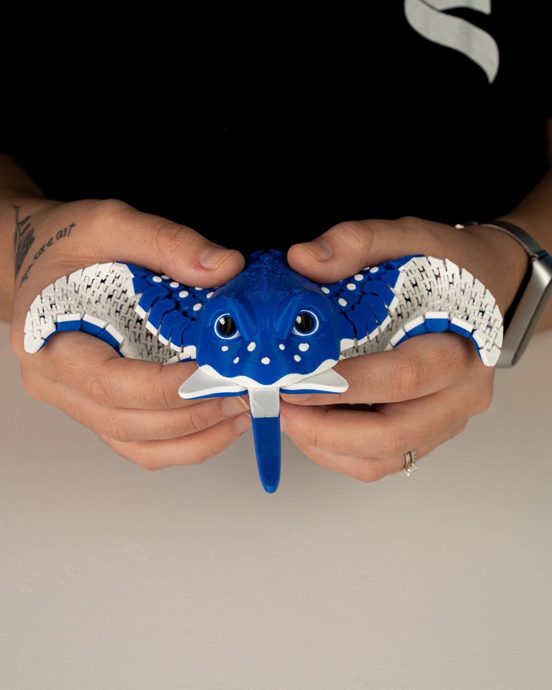 Igor, The Spotted Eagle Ray