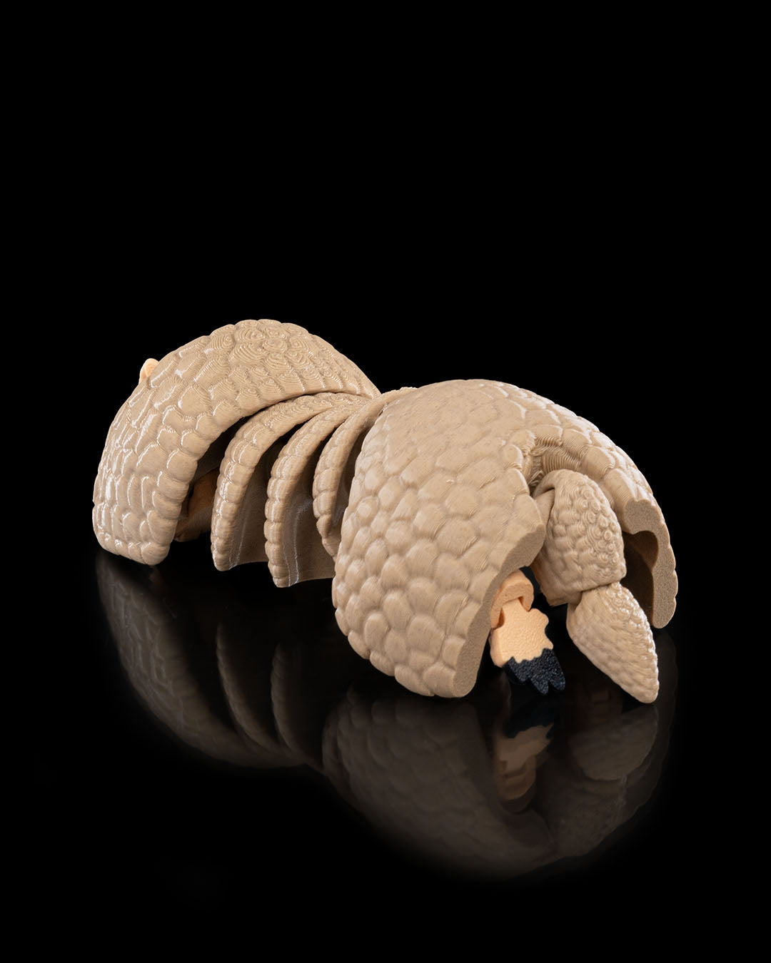 Armadillo