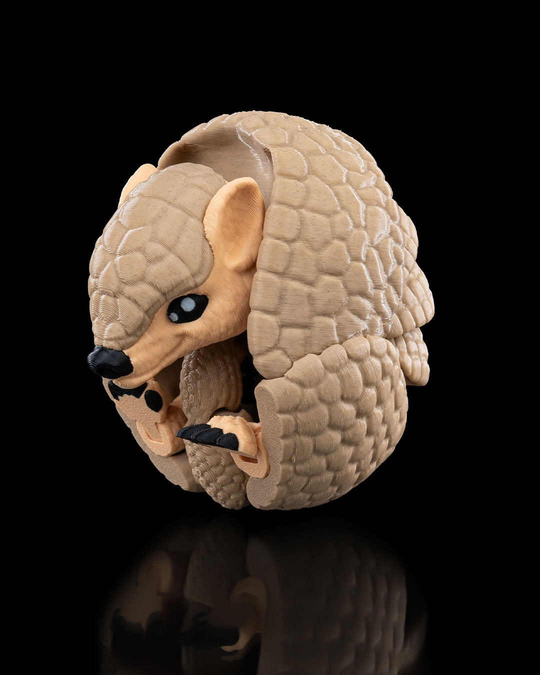 Armadillo