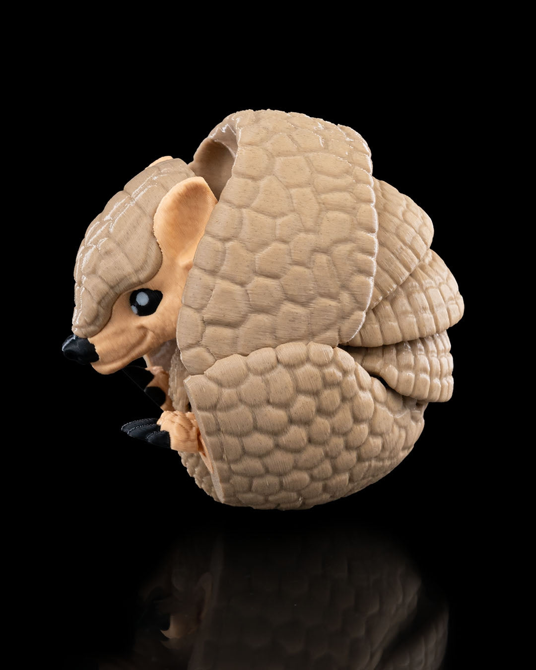 Armadillo