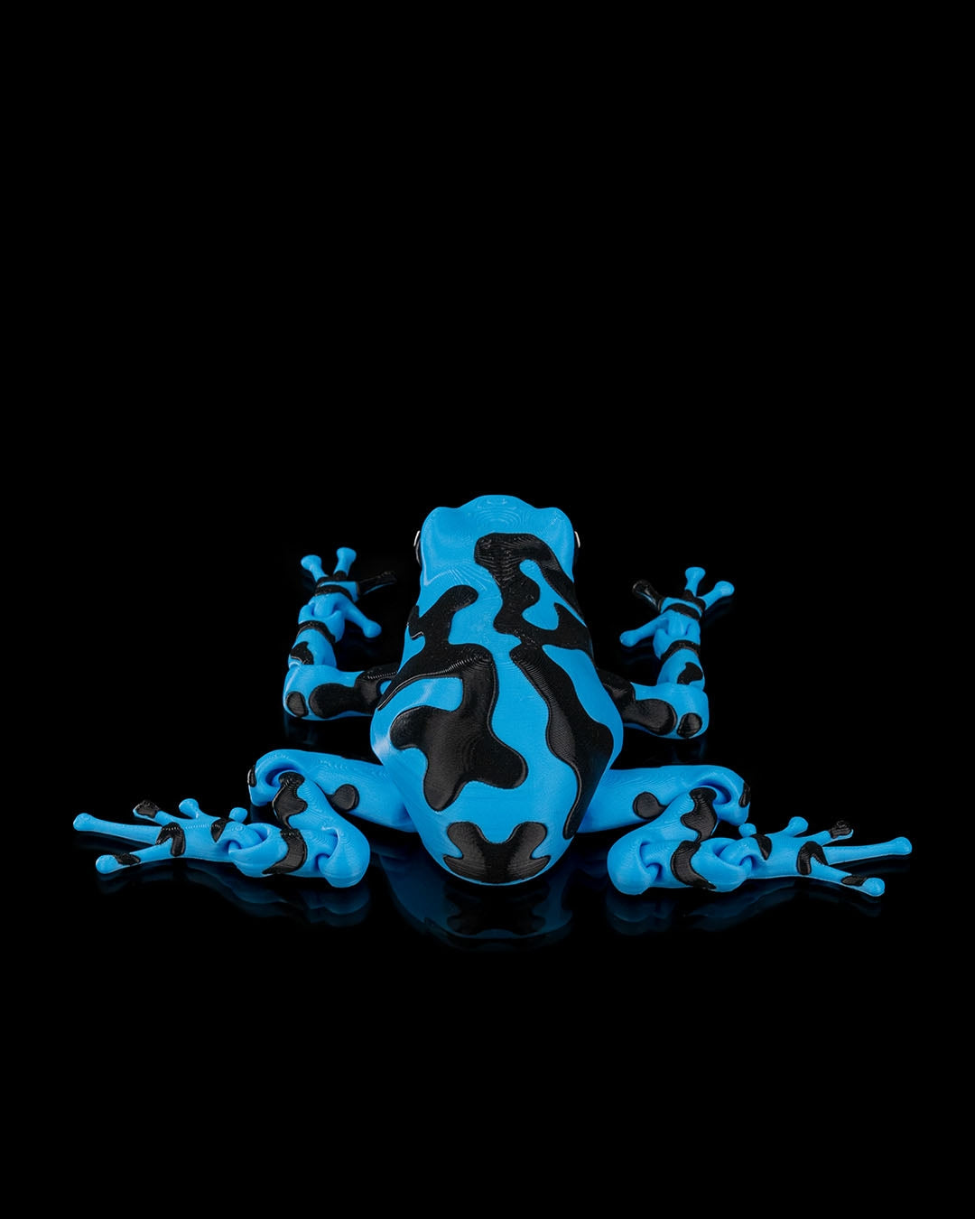 Darcy The Poison Dart Frog