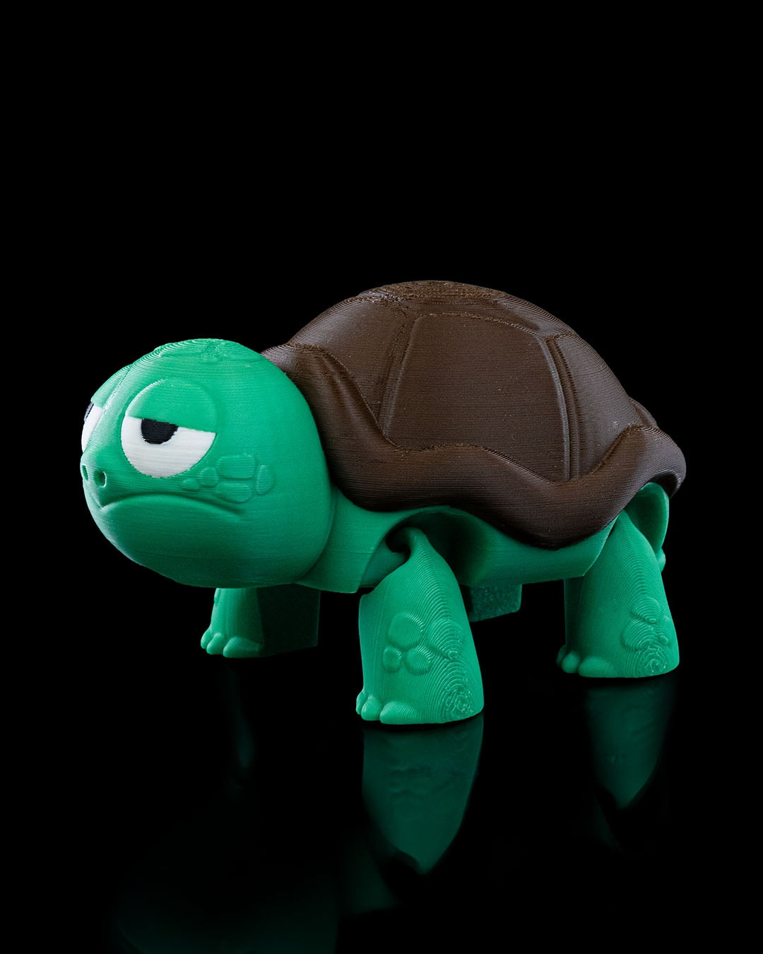Not Surprised Turtle