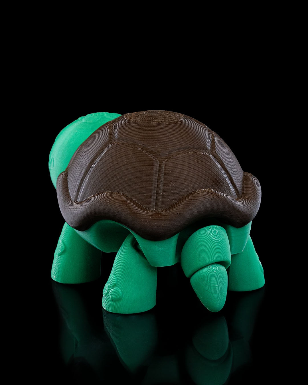 Not Surprised Turtle