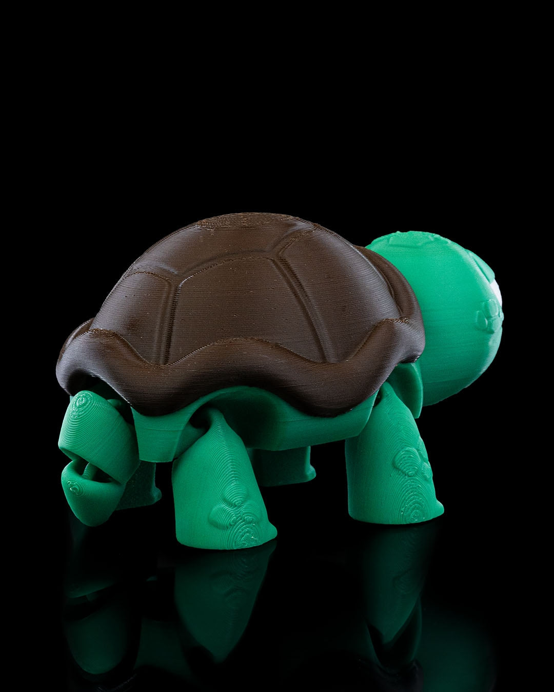 Not Surprised Turtle