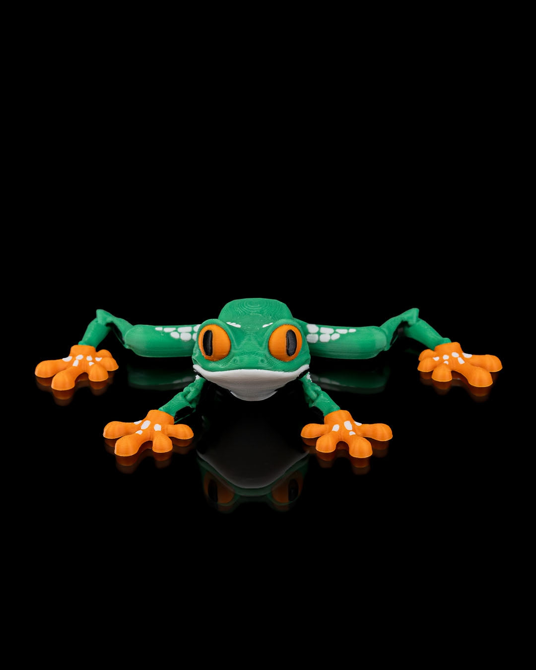 Reed The Tree Frog