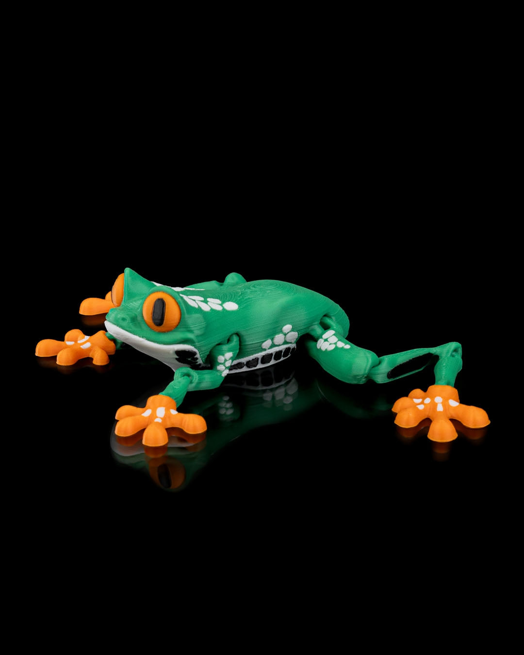 Reed The Tree Frog