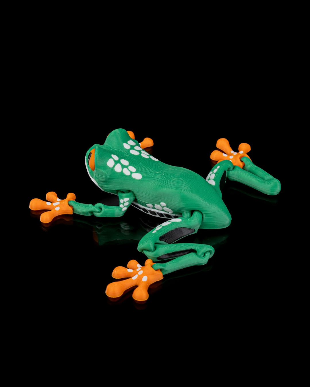 Reed The Tree Frog