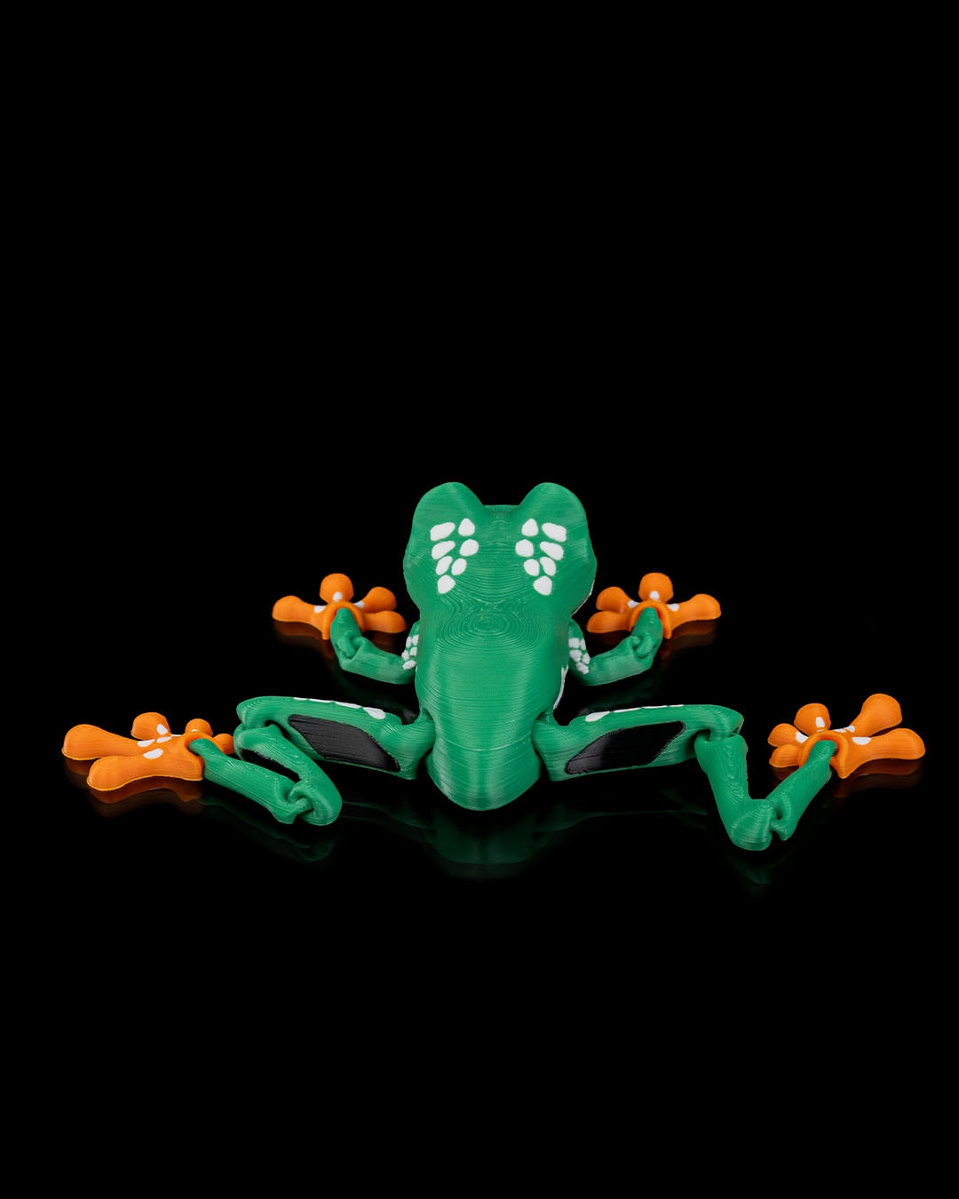 Reed The Tree Frog
