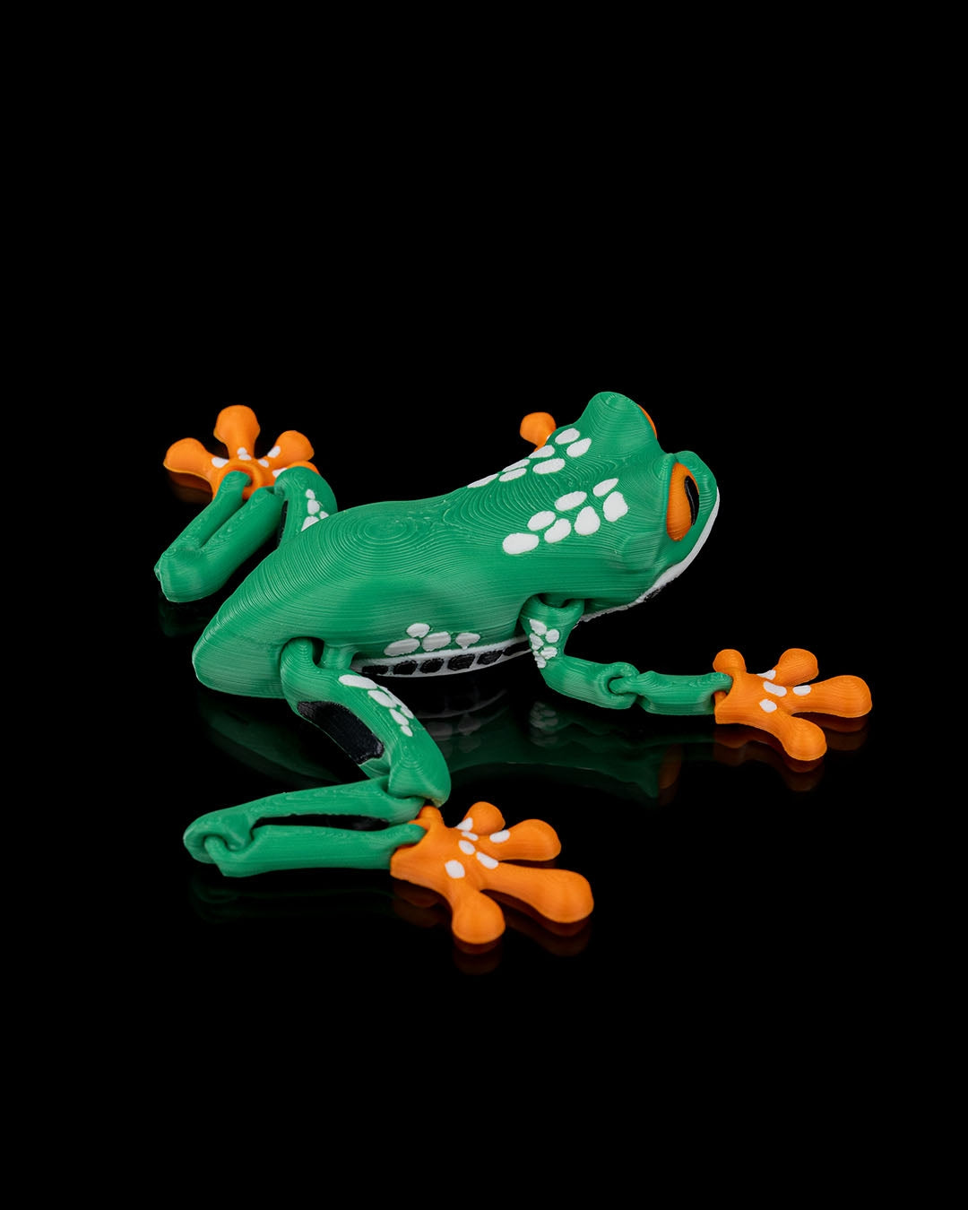 Reed The Tree Frog