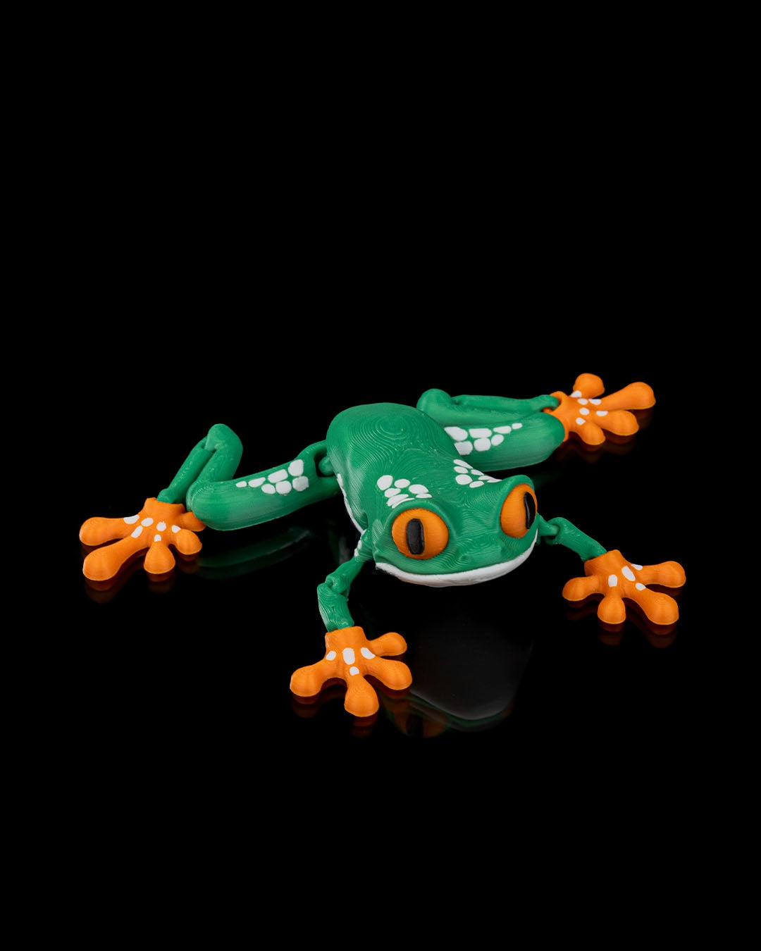 Reed The Tree Frog